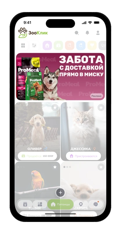 M формат на странице питомцев