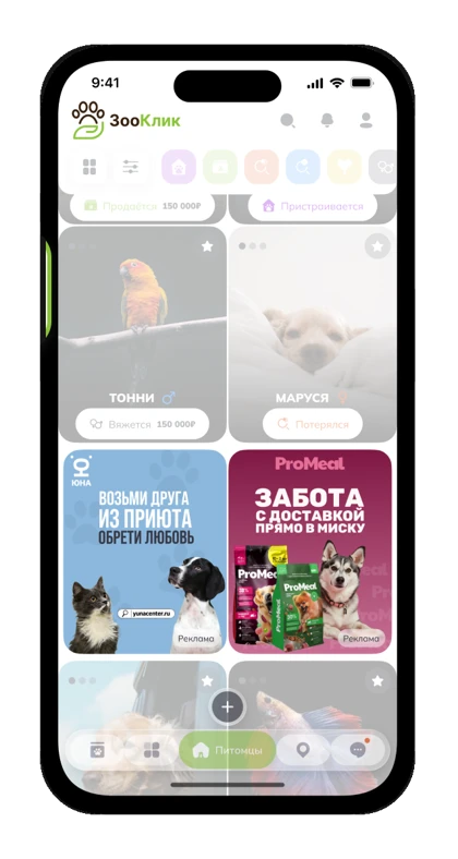 S формат на странице питомцев